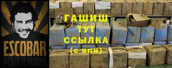 ешки Бородино
